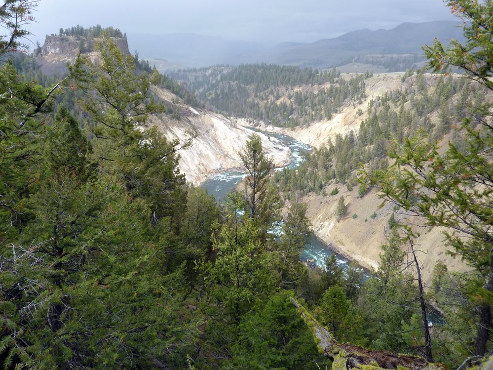 Yellowstone Tower Roosevelt (43).JPG